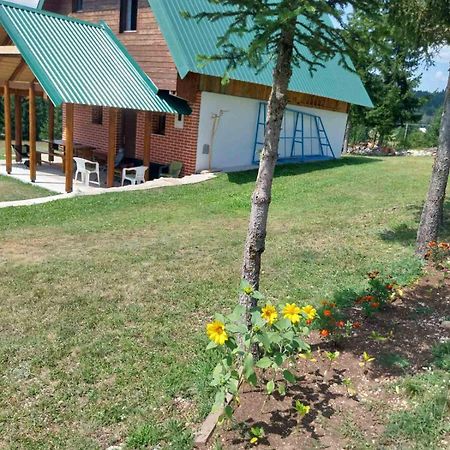 House In Forest Žabljak Eksteriør billede