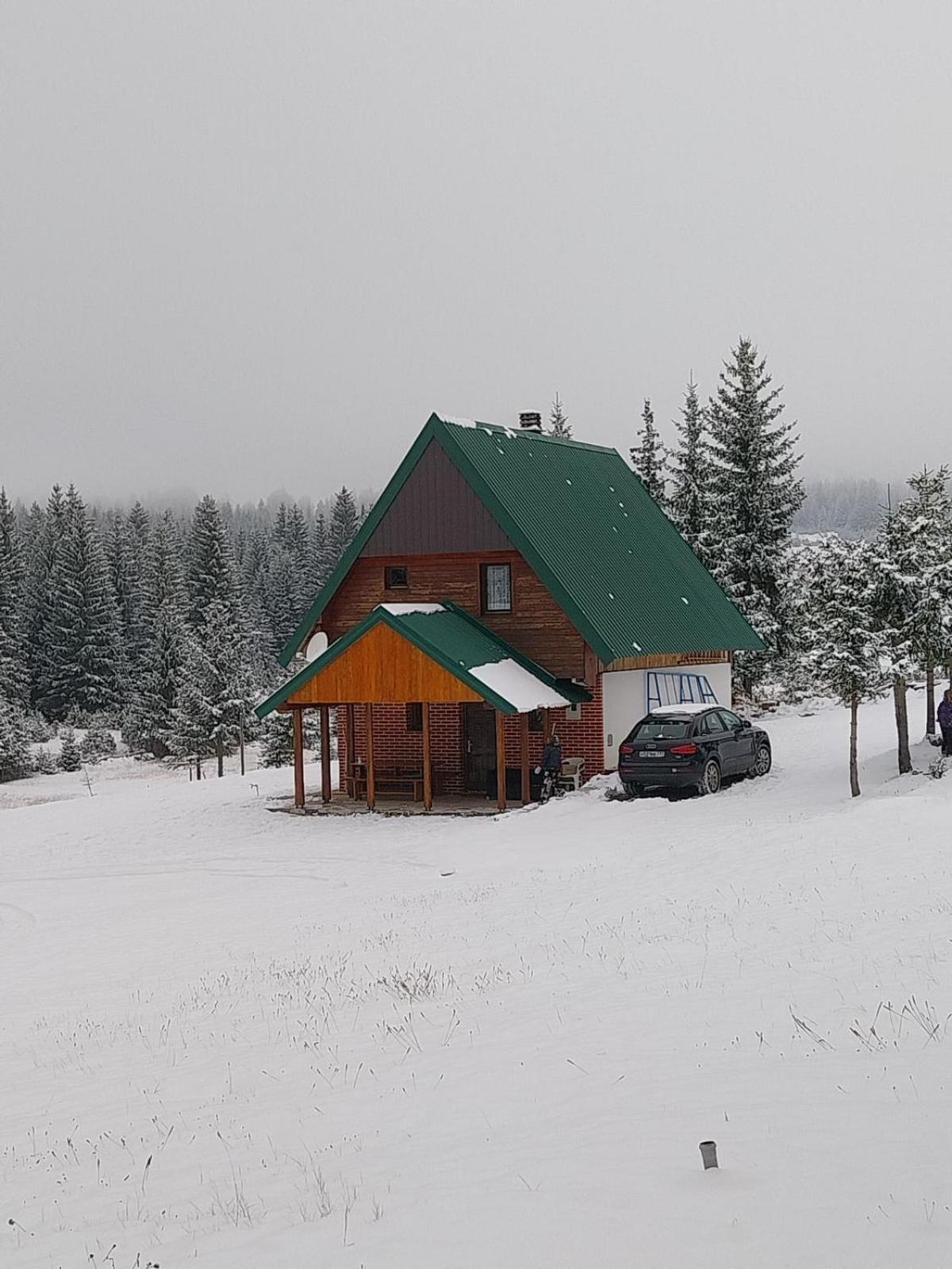 House In Forest Žabljak Eksteriør billede