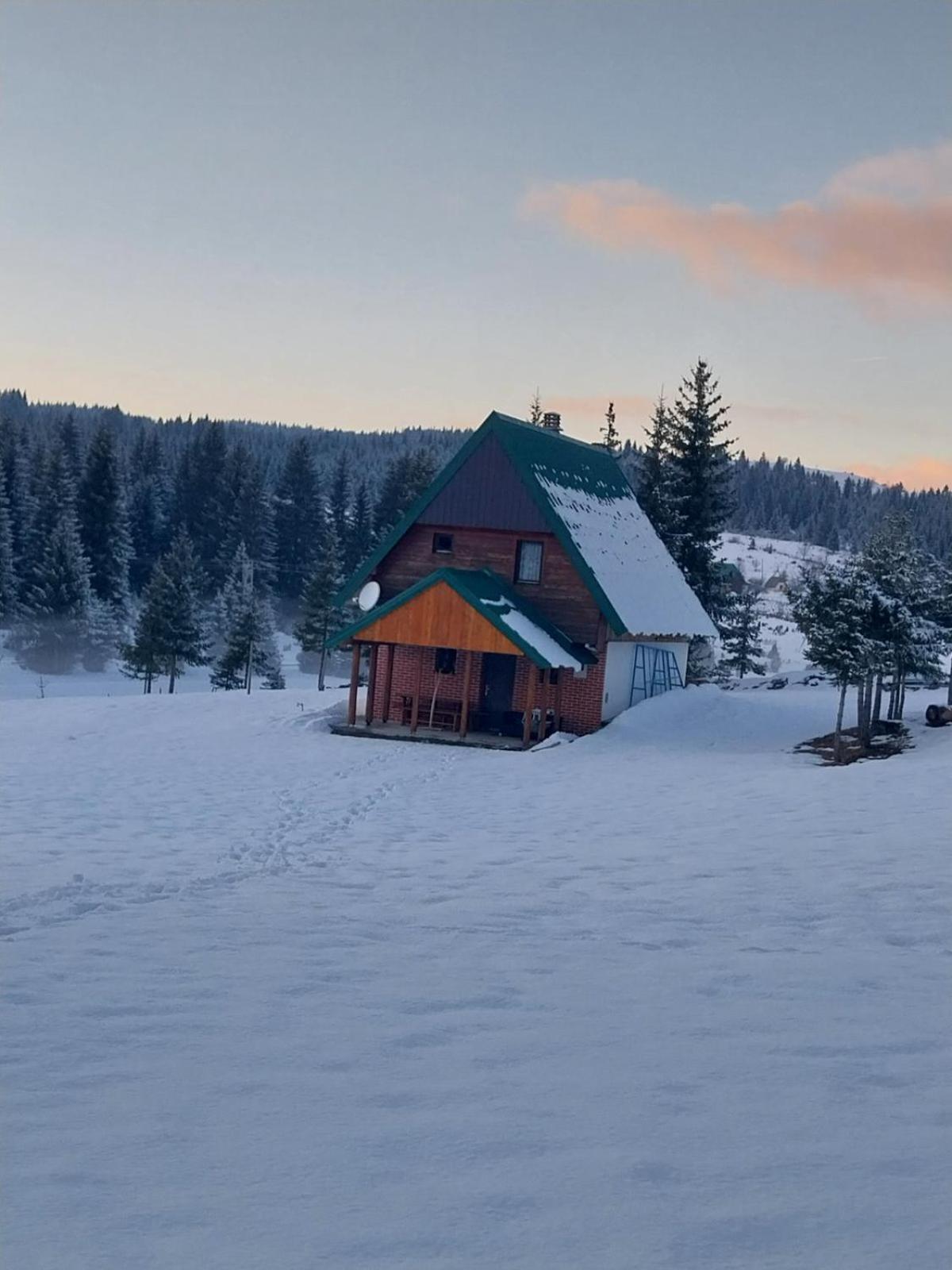 House In Forest Žabljak Eksteriør billede