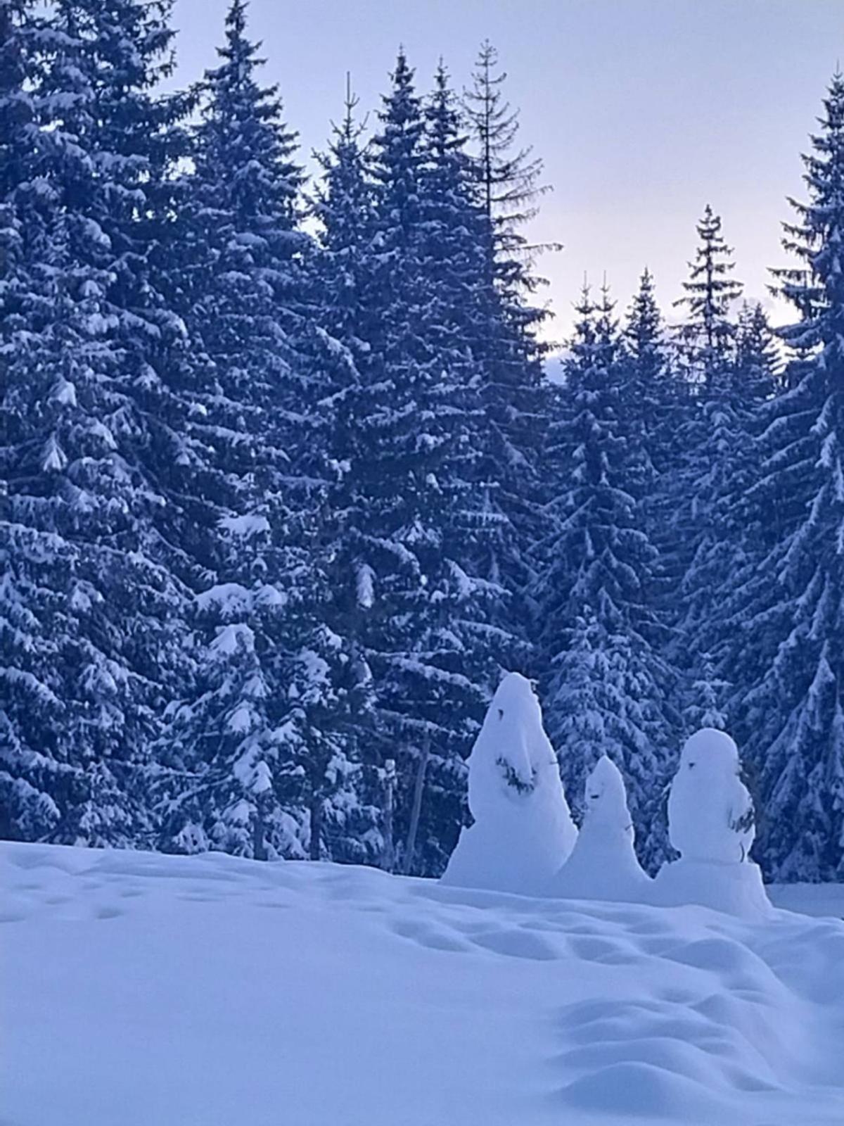 House In Forest Žabljak Eksteriør billede