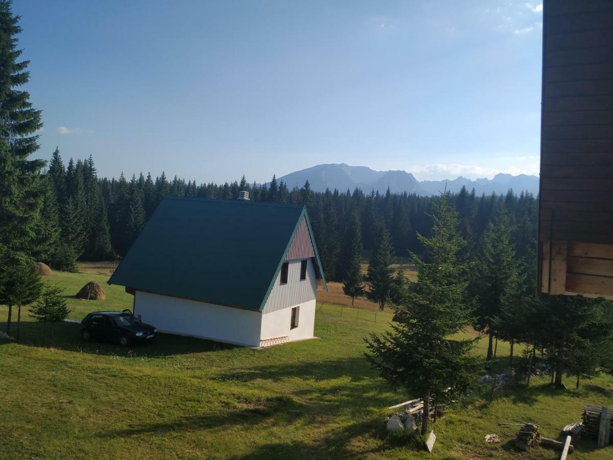 House In Forest Žabljak Eksteriør billede