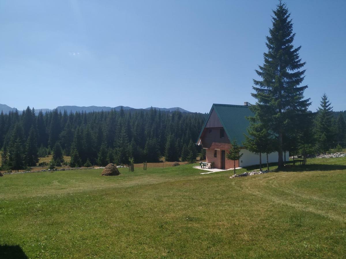 House In Forest Žabljak Eksteriør billede